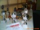 Thumbs/tn_013.jpg