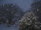 Thumbs/tn_IMG_4824.jpg