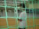 Thumbs/tn_IMG_4910.jpg