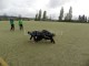 Thumbs/tn_100_1655.jpg