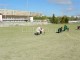 Thumbs/tn_100_1737.jpg