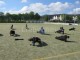 Thumbs/tn_IMG_3554.jpg