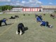 Thumbs/tn_IMG_3555.jpg