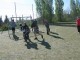 Thumbs/tn_IMG_3598.jpg