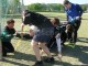Thumbs/tn_IMG_3601.jpg