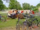 Thumbs/tn_DSC09708.jpg