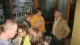Thumbs/tn_IMG_6684.jpg