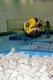 Thumbs/tn_121.jpg