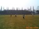 Thumbs/tn_058.jpg