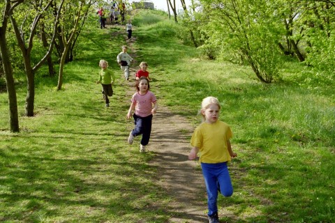 ../Images/RunUp2004_37.jpg