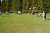 Thumbs/tn_Thalheim2004_063.jpg