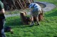 Thumbs/tn_DSC_0099.jpg