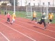 Thumbs/tn_P4100236.jpg