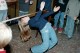 Thumbs/tn_037.jpg