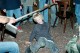 Thumbs/tn_039.jpg