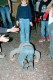Thumbs/tn_045.jpg