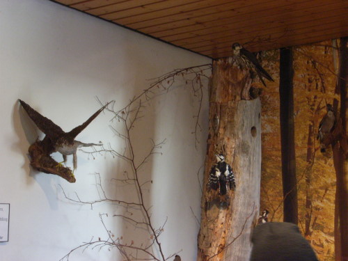 ../Images/R0013202.JPG