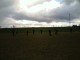 Thumbs/tn_IMG_0031.jpg