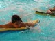 Thumbs/tn_PICT0088.jpg