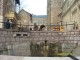 Thumbs/tn_SL370347.jpg